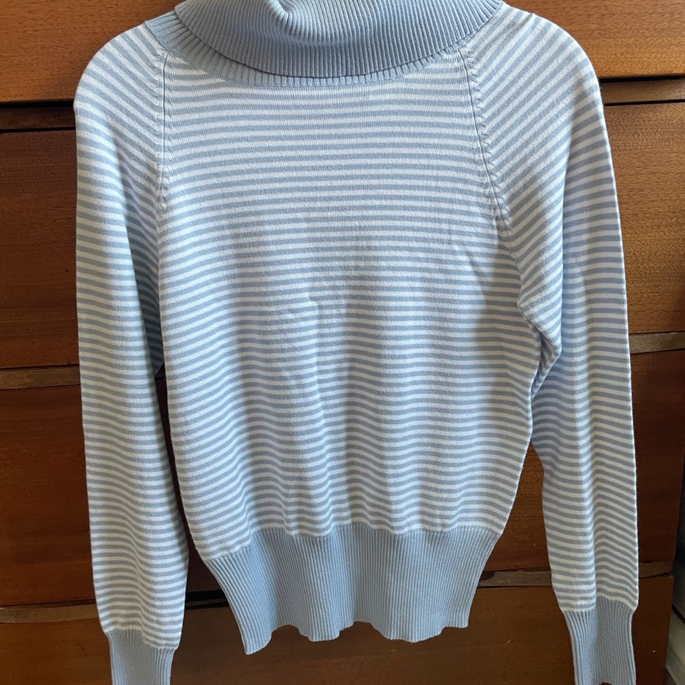 Missimo Sweater Striped Blue Turtleneck medium